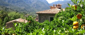 mallorca-galleri5