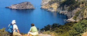 mallorca-galleri6