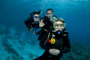 shutterstock_56682043
