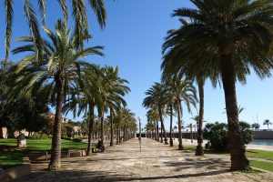 Palma Mallorca