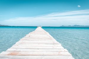 wooden bridge with water on both sides