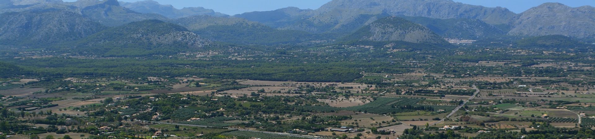 Alcudia Garden