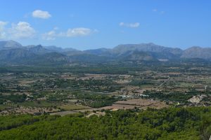 Alcudia Garden