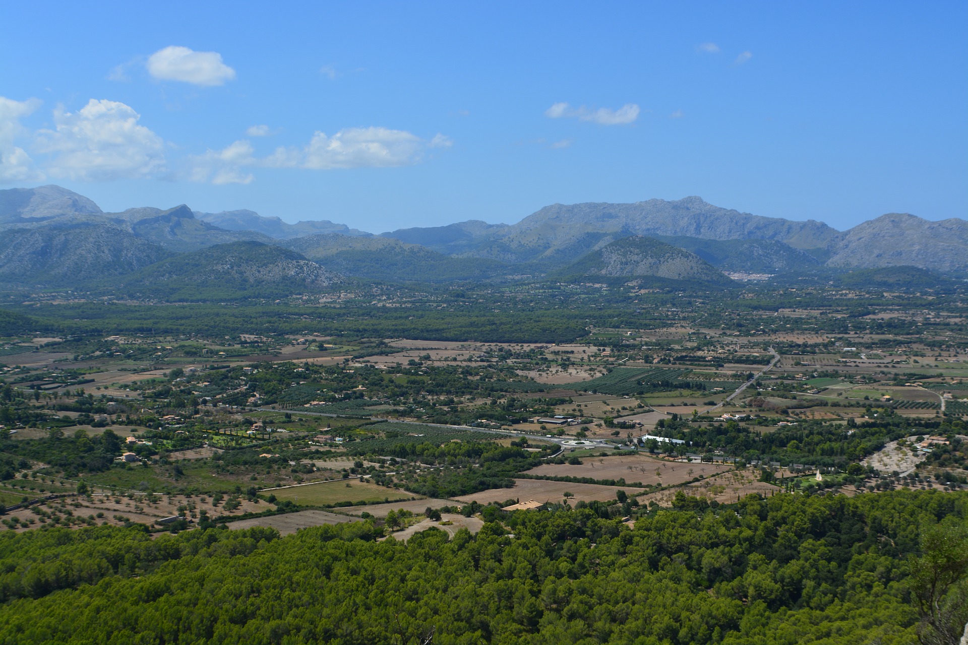 Alcudia Garden
